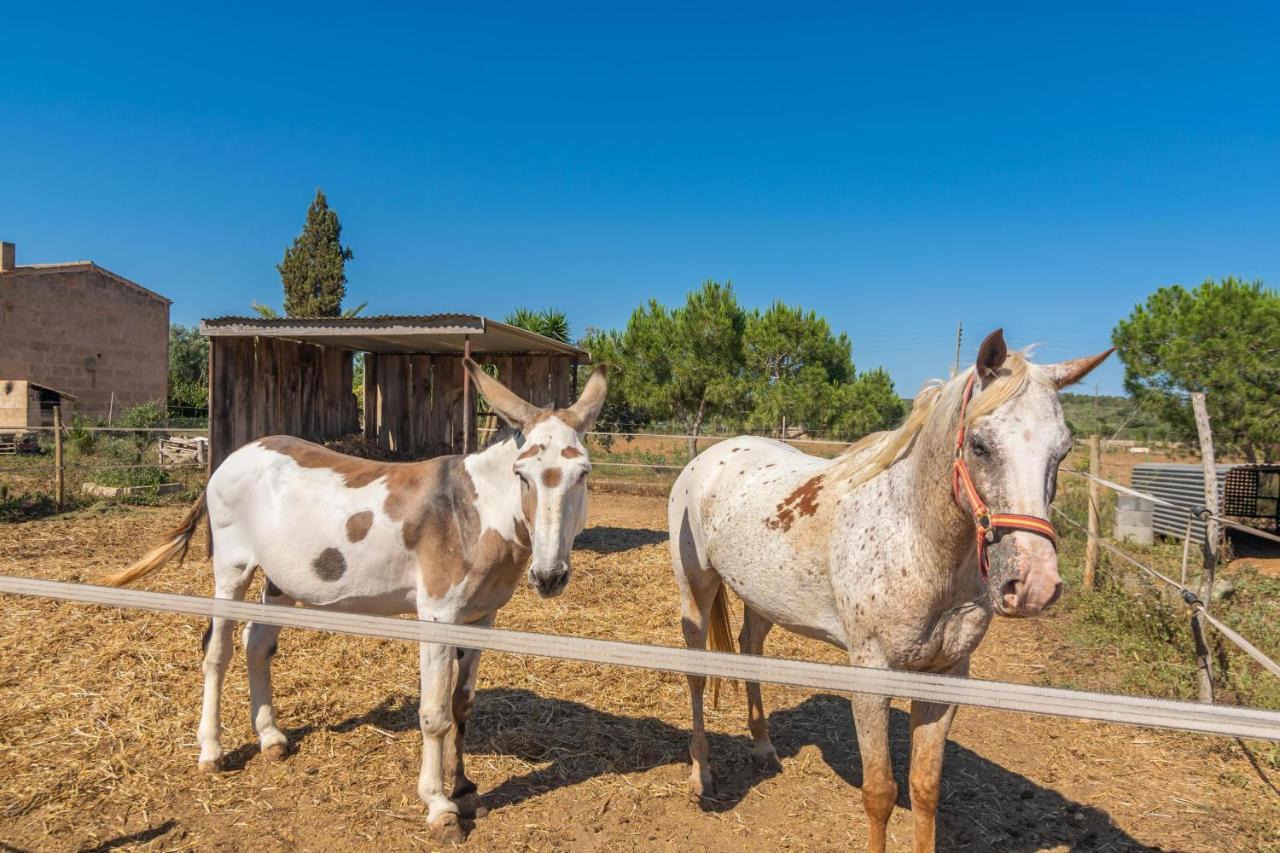 Lo Den Creus Villa Campos  Dış mekan fotoğraf