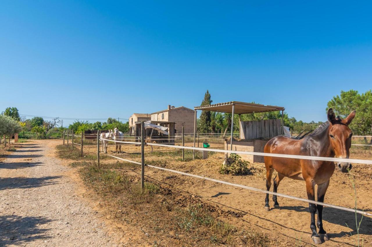 Lo Den Creus Villa Campos  Dış mekan fotoğraf