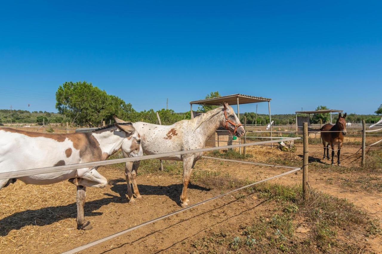 Lo Den Creus Villa Campos  Dış mekan fotoğraf